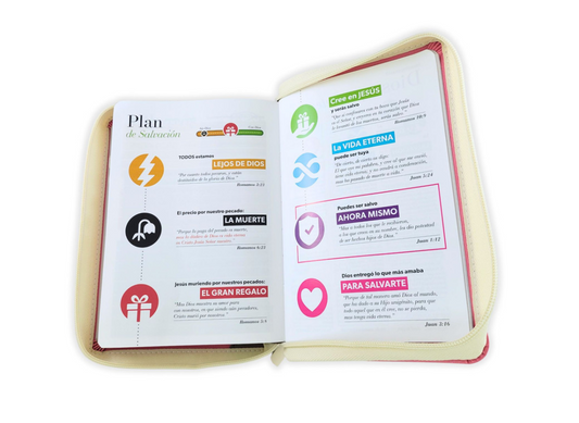 Biblia con Cierre Compacta 11 puntos RV1960