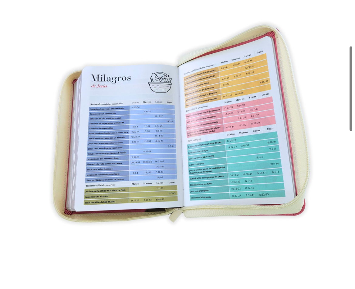 Biblia con Cierre Compacta 11 puntos RV1960