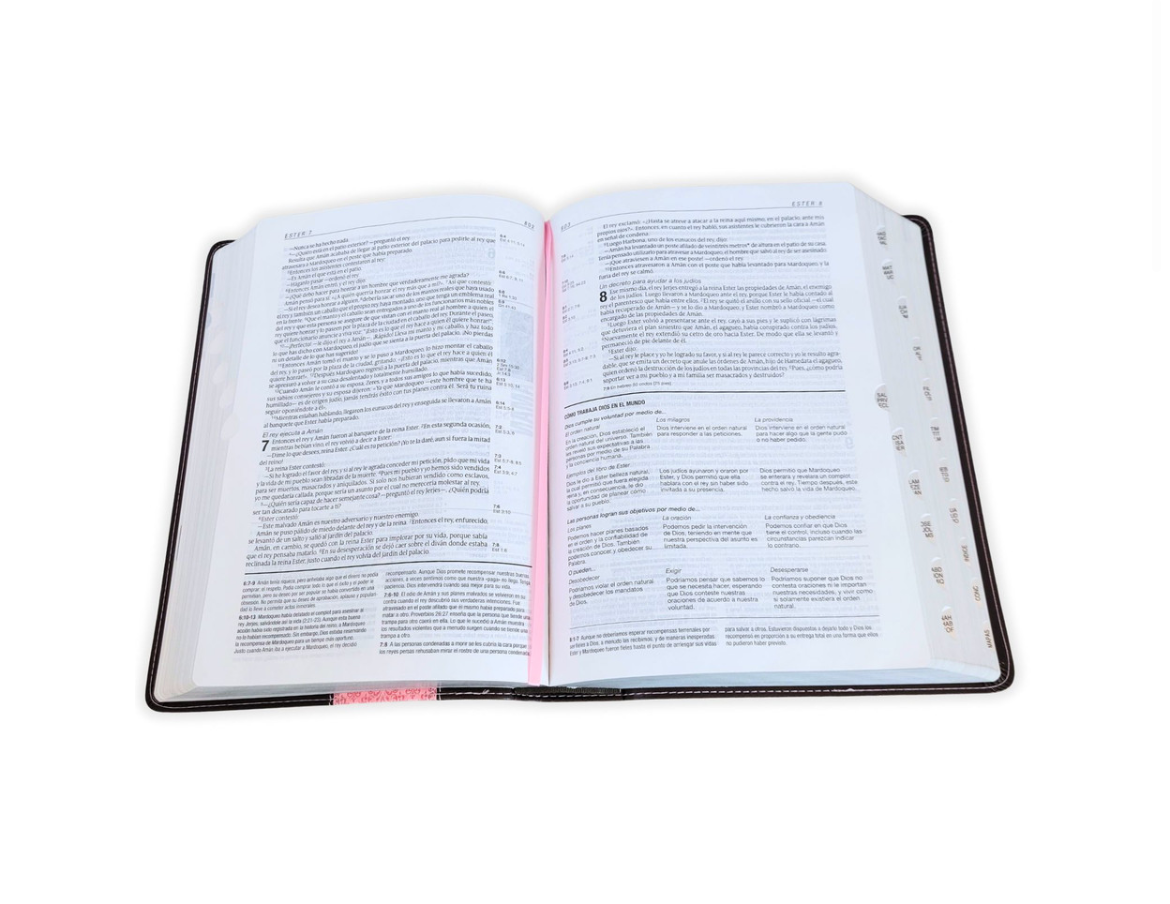 Biblia de Estudio del Diario Vivir NTV - Senti-piel Café/Rosa con Índice