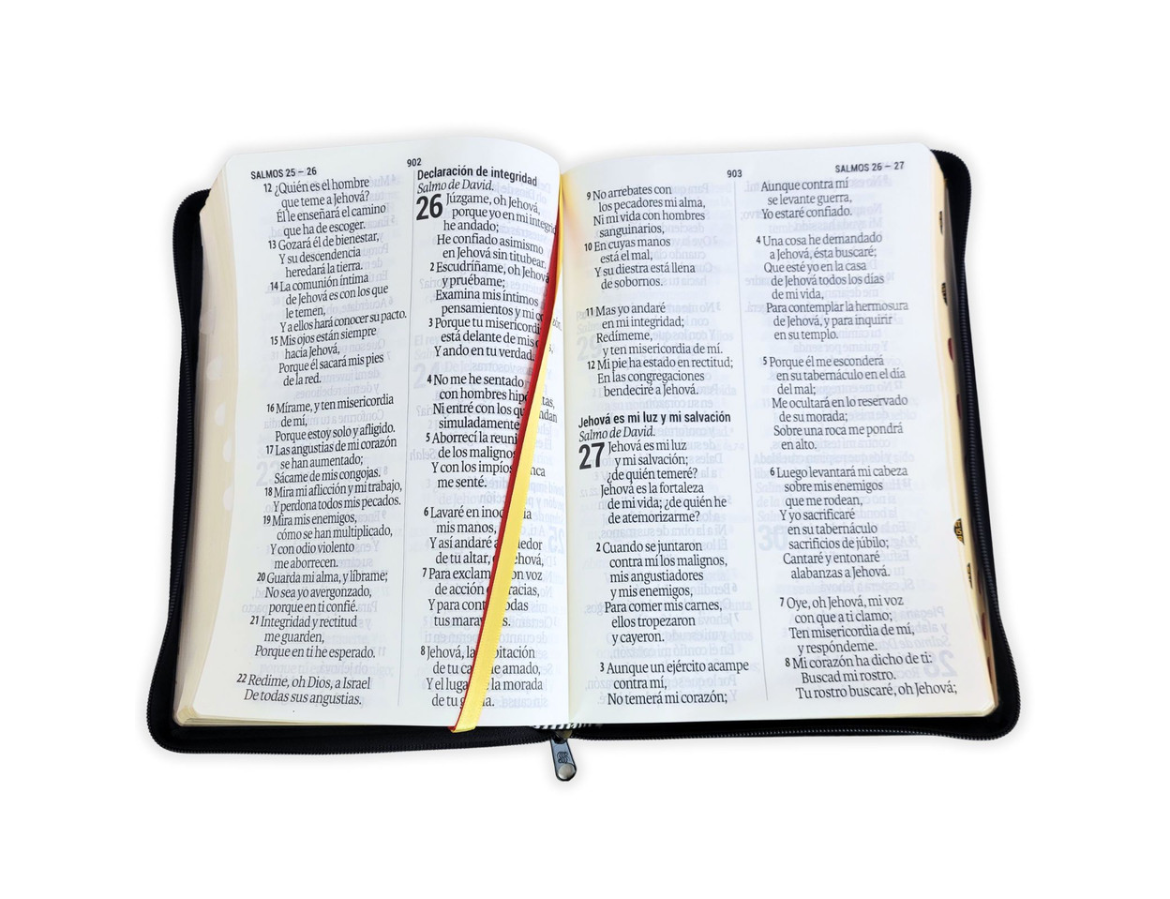 Biblia Letra Súper Gigante (19 puntos) con Cierre - RV1960 Piel Genuina Negro